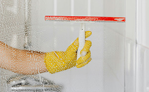 Domestic Cleaner Honiton