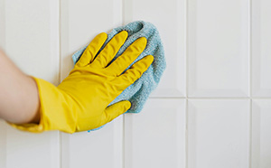 Domestic Cleaner Hontion